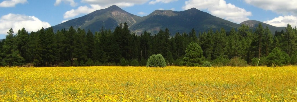 Peaks with Flower field 2a