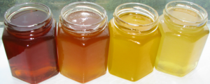 Different Honey Varieties