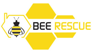 Arizona Bee Rescue