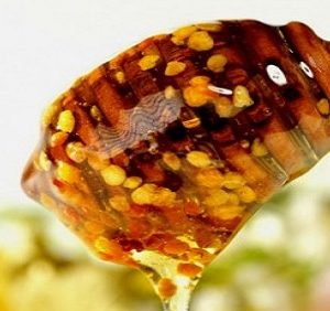 honey with pollen flagstaff arizona
